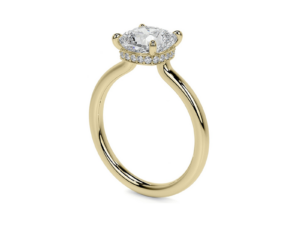 TESSA Cushion Cut Hidden Halo moissanite Solitaire engagement ring